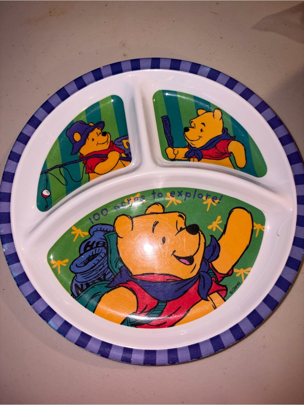 Vintage Winnie The Pooh Hiking Zak Designs Melamine Divided Plate 8